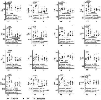 Inhibition of 2-Oxoglutarate Dehydrogenase as a Chemical Model of Acute Hypobaric Hypoxia